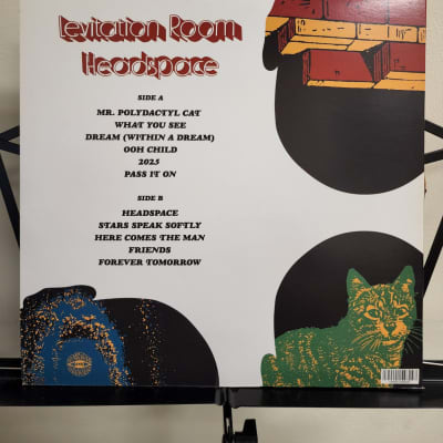 Used Levitation Room – Headspace- LP, Limited Edition,  Orange Crush image 3