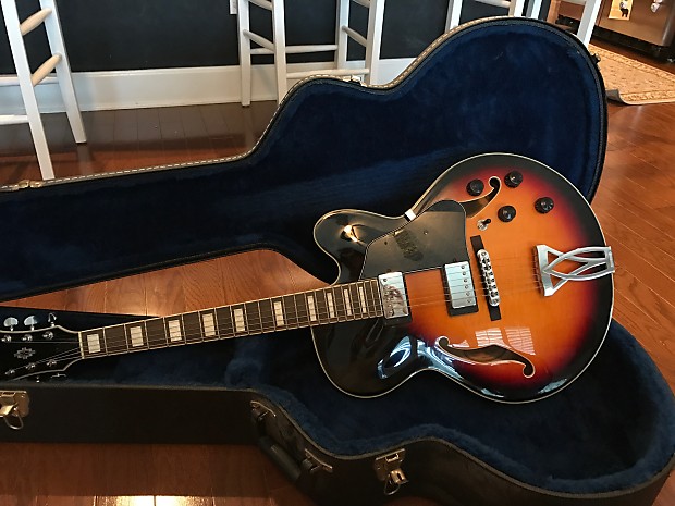 Ibanez clearance af75 case