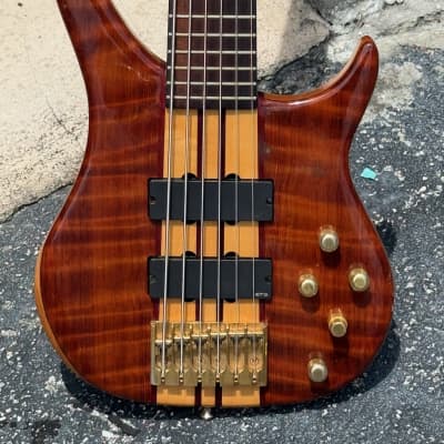 PEAVEY CIRRUS SERIES bass guitars for sale in USA | guitar-list