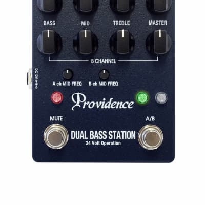 Providence Dual Bass Station DBS-1 2017 Gray image 1