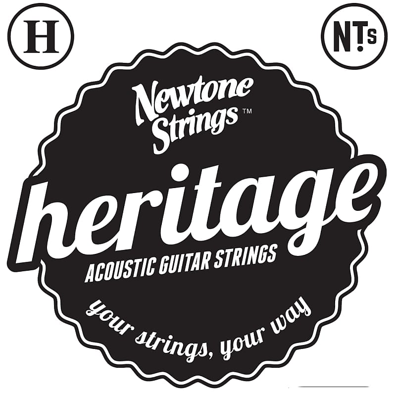 Cuerdas Acústica Newtone Heritage 12-51 12 Strings image 1