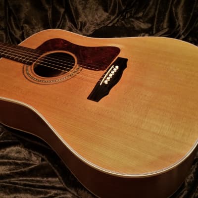 Guild DV6 1997 Westerly Rhode Island Dreadnought Acoustic Mahogany Back and Sides like a D40 D18 image 7