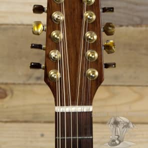 Giannini 12 String Acoustic Electric Guitar Natural Finish image 6