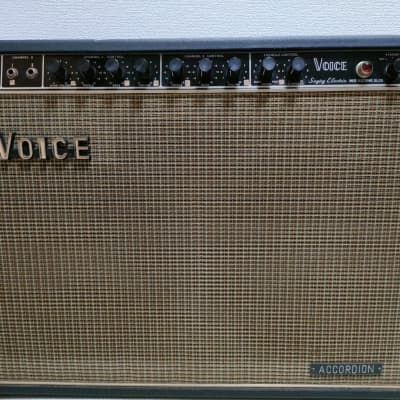 1960s Voice Master 1000 Guitar Combo Amplifier Singing Electric Handmade by Yukichi Iwase Amp Made in Japan Vintage for sale