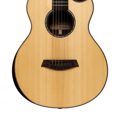 Islander MS-MG-EQ Electro-Acoustic Mini-guitar w/ Solid Sitka Spruce Top, Mahogany B&S, Gig Bag image 1