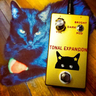 Black Cat Chicago Tonal Expansion (Based on Chase Tone Secret Preamp) image 2