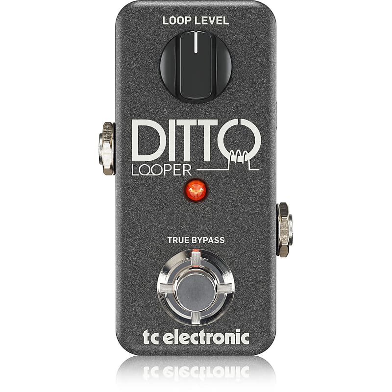 TC Electronic Ditto Looper Effects Pedal image 1
