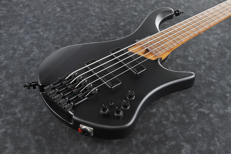 Ibanez EHB1005-BKF EHB Series E-Bass 5 String Black Flat + Gigbag, PRE-ORDER! image 1