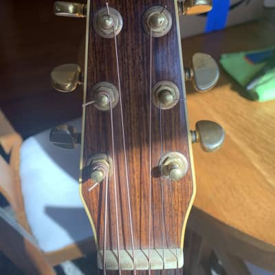 Seagull Artist Series 2000-2001 - Rosewood/Spruce image 2