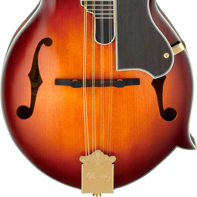 SAMICK おろす エレキ マンドリン