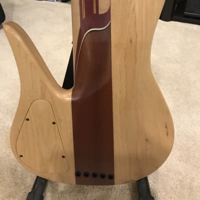 JCR Custom Fretless Tenor 5 String Bass image 17