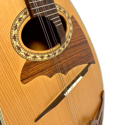 Concert Mandolin Kiso Suzuki MR-100 1990's image 5