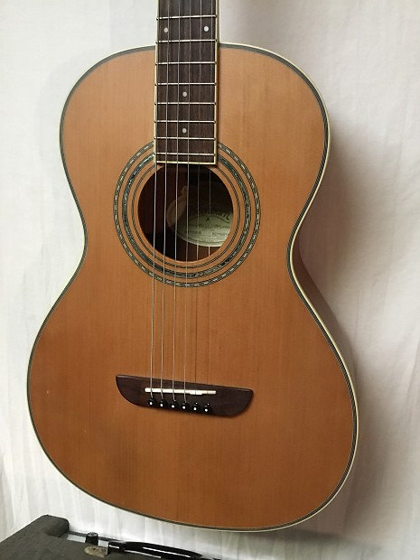 Washburn wp11sns parlor series acoustic guitar 2025