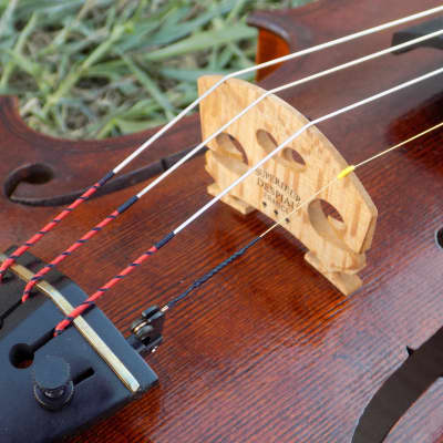 Professional Violin, Antique Dark Brown Varnish, Handmade in Kansas USA by Colton Mulder, Crow Creek Fiddles 2023 image 13