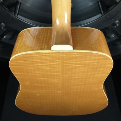 Granada Vintage Acoustic Tiger Maple Back & Sides Japan w/ Wayfinder Gig Bag image 15