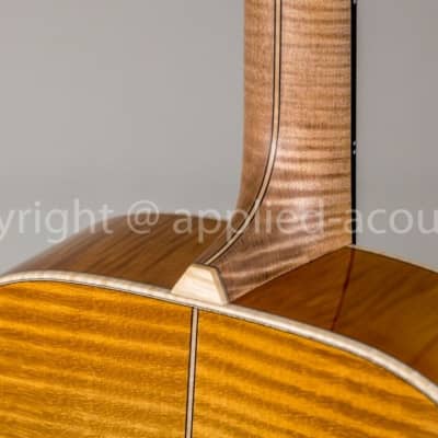 Rozawood Rhapsody custom DG (Drop-D guitar) image 6