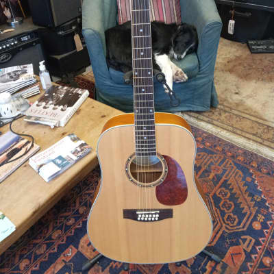 Ashton D25 12 String Dreadnought Natural Matte Reverb UK