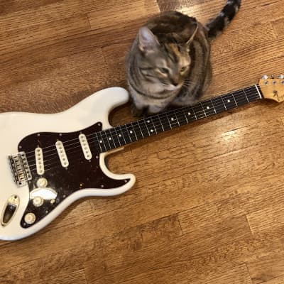 Tognazzini Austin Texas USA Strat Olympic White Closet Classic Curtis Novak Pickups Cat Not Included image 1