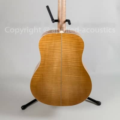 Rozawood Rhapsody custom DG (Drop-D guitar) image 2
