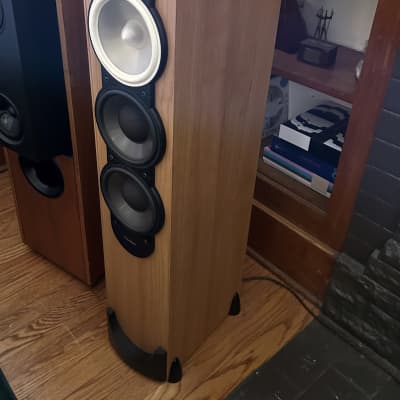 Tannoy Monitor Gold 10