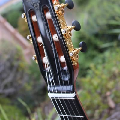 Altamira Maccaferri D nylon strings 2023 - Nitro Lacquer image 5