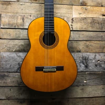 Yamaha CG-130SA Classic Acoustic Guitar w/ gig bag | Reverb