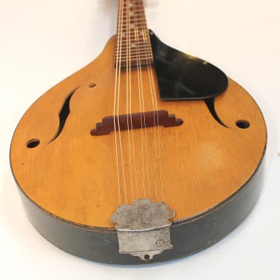 Vintage Strad-O-Lin Style A Mandolin • Dark Green Lacquer • Player image 5