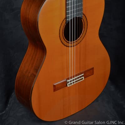 Richard E. Brune Concert classical guitar 1980 image 15