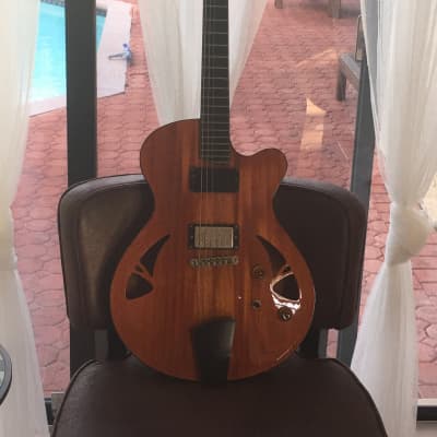 Artinger semi hollow arch top 2010 for sale