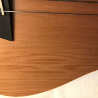 Godin A5 Ultra Semi-Acoustic Fretless 5-String Bass Natural image 9