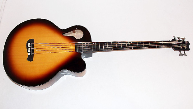 TACOMA 5弦アコースティックベース　CB105c 俺の楽器・私の愛機】1594「指板延長を施して世界に一本になった