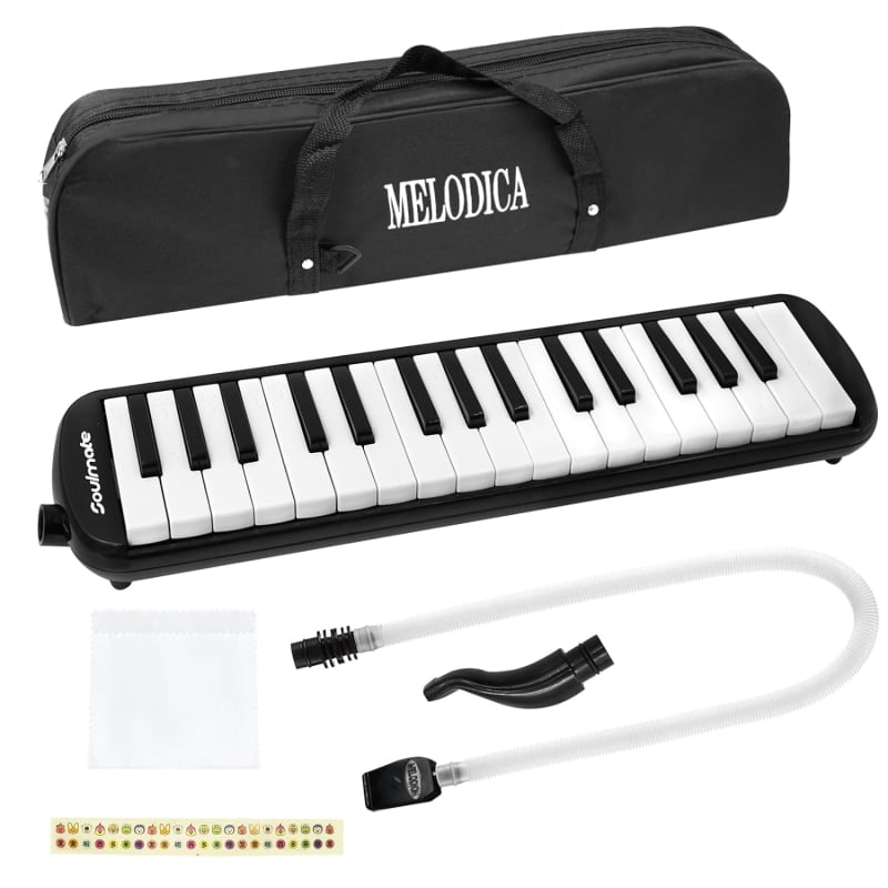 Eastar 37 Keys Melodica, Soprano Melodica Air Piano Keyboard Pianica with 2  Soft Long Tubes, Short Mouthpieces, Carrying Bag, Black 