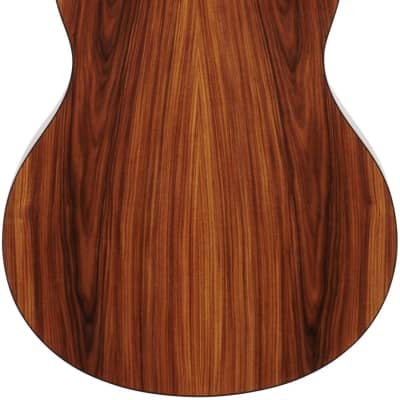Washburn Bella Tono Elegante S24S Acoustic Guitar, Natural image 6