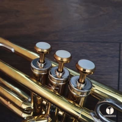 1956 Martin Imperial trumpet, mutes, Mt Vernon mouthpiece | Gamonbrass image 11