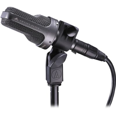 Audio-Technica AE-3000 - Large-Diaphragm Cardioid Instrument Microphone  2-Day Delivery image 2