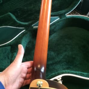 Ibanez Vine acoustic-electric solid wood beauty image 12