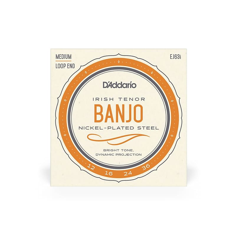 D'Addario - EJ63I - Irish Tenor Banjo Strings - Nickel-Plated Steel - 12-36 image 1