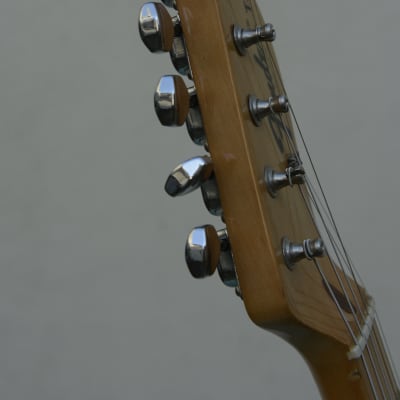 Fender Telecaster Thinline 1969 - Natural image 8