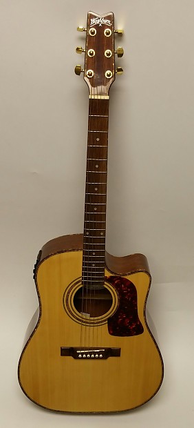 Washburn dk20cet store