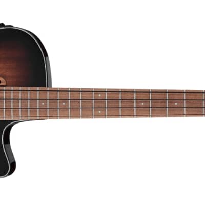 Ibanez AEGB24FEMHS Acoustic-Electric 4-String Bass, Sapele Top, Mahogany Sunburst image 1