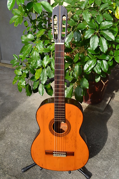 Housse guitare 'Eco Friendly' - Housse guitare classique 3 4 à 7 8 - Pro  Natura