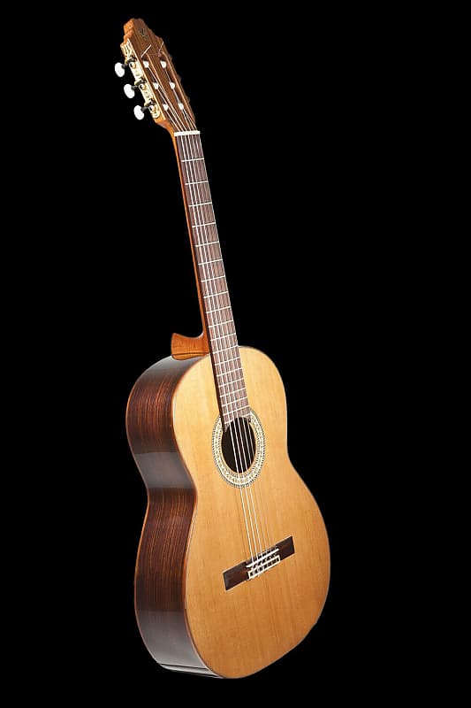 Prudencio Saez Konzertgitarre Modell 12 image 1