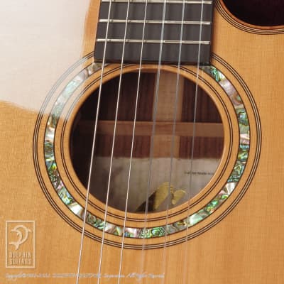 Cordoba FCWE Euro-Spruce/Spanish Cypress Nylon String Acoustic-Electric  Guitar