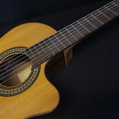 Alhambra 3C CW E1 Cutaway Acoustic Electric Classical Nylon String Guitar/Gig Bag image 7