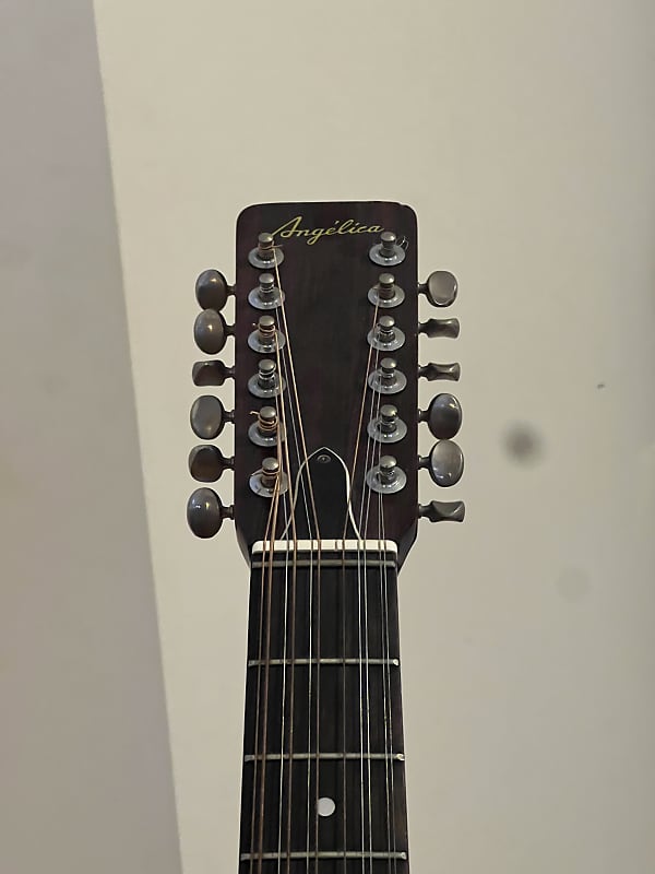 Angelica 12 String - FREE Shipping! Accepting offers. image 1