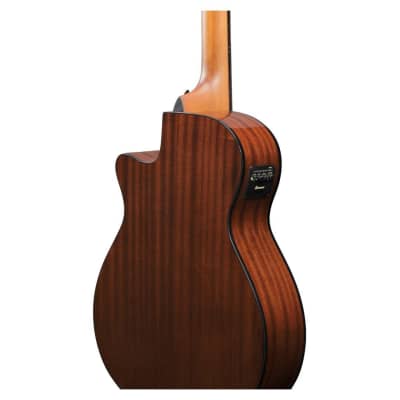 Ibanez AEGB25E 4-String Right-Handed Electric Bass Guitar with Nyatoh and Maple Neck and Walnut Fingerboard (Transparent Black Burst High Gloss) image 4