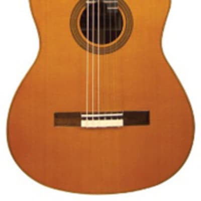 Cordoba Fusion Orchestra CE Nylon Acoustic Electric Guitar image 1