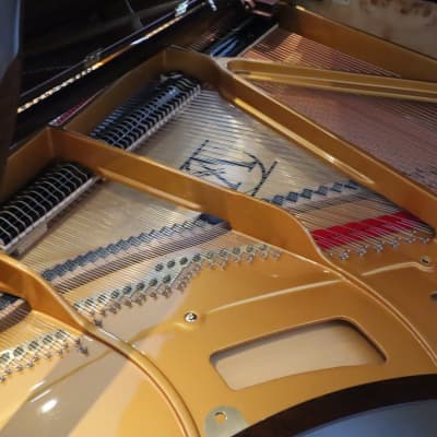 Venables & Son Studio-152 Grand Piano image 3