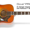 Epiphone Dove Pro Acoustic/Electric