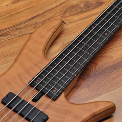 Fodera Monarch Doctorbass Edition 2023 Fretless 5 string (lined) image 12